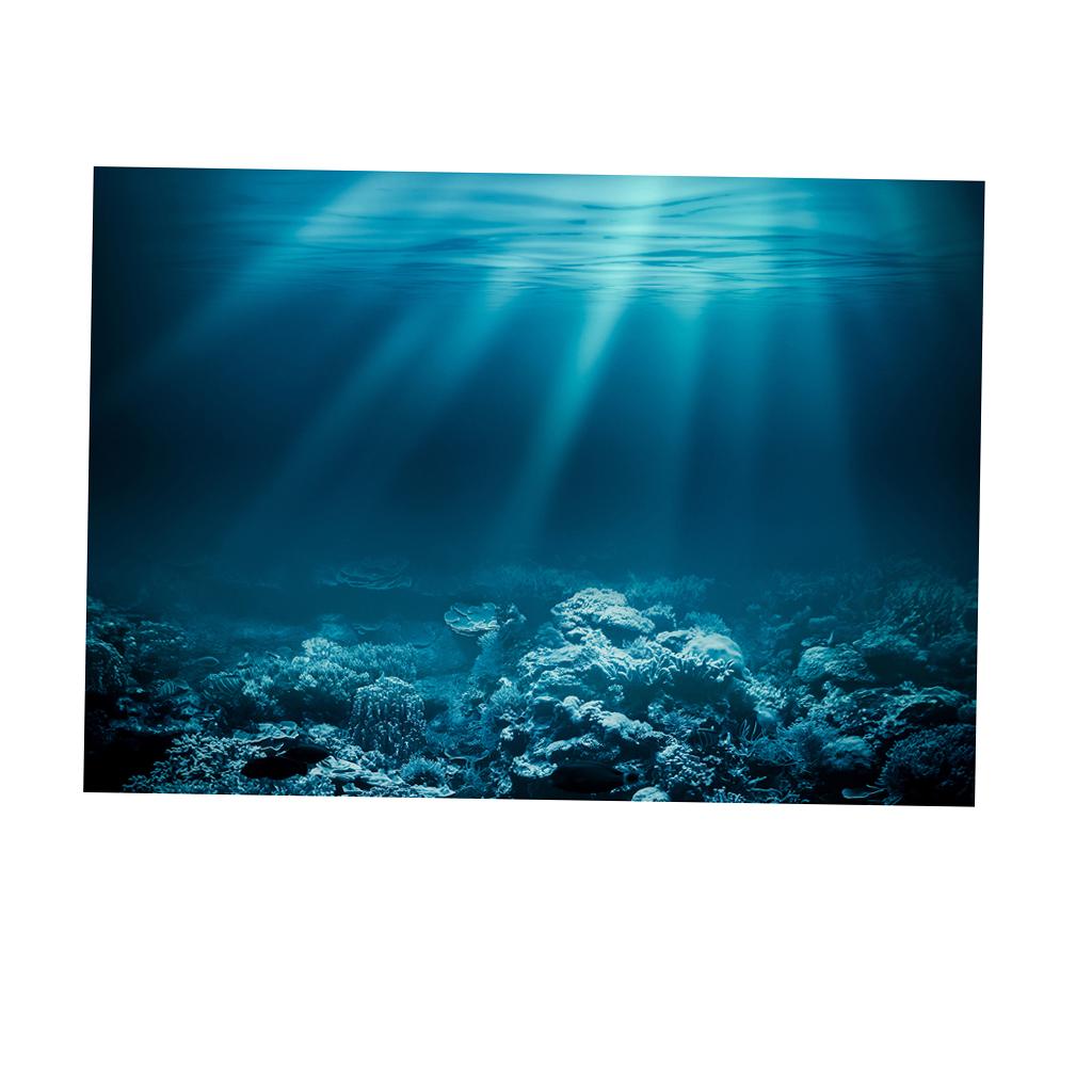 Stiker Poster Akuarium PVC 3D  - Fish In Aquarium Picture ulasan dan harga