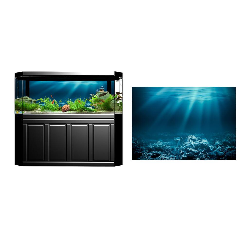 Stiker Poster Akuarium PVC 3D  - Fish In Aquarium Picture ulasan dan harga