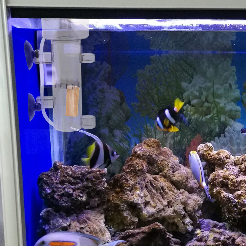 Protein Skimmer Akrilik Pemisa - Aquarium Fish Marine ulasan dan harga