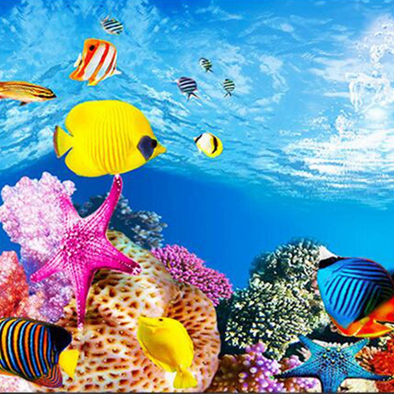 Latar Belakang Akuarium BAAU K - Fish In Aquarium Picture ulasan dan harga