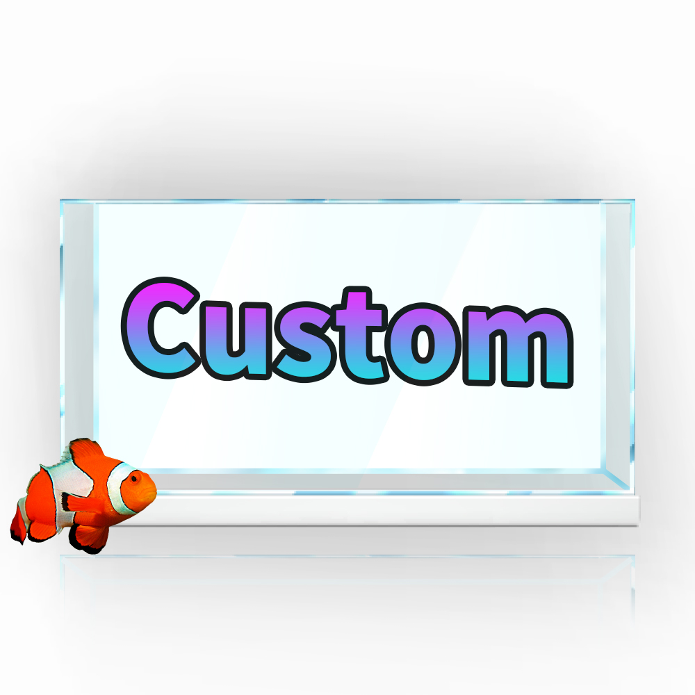 Poster PVC Dekorasi Latar Bela - Aquarium Fish Poster ulasan dan harga