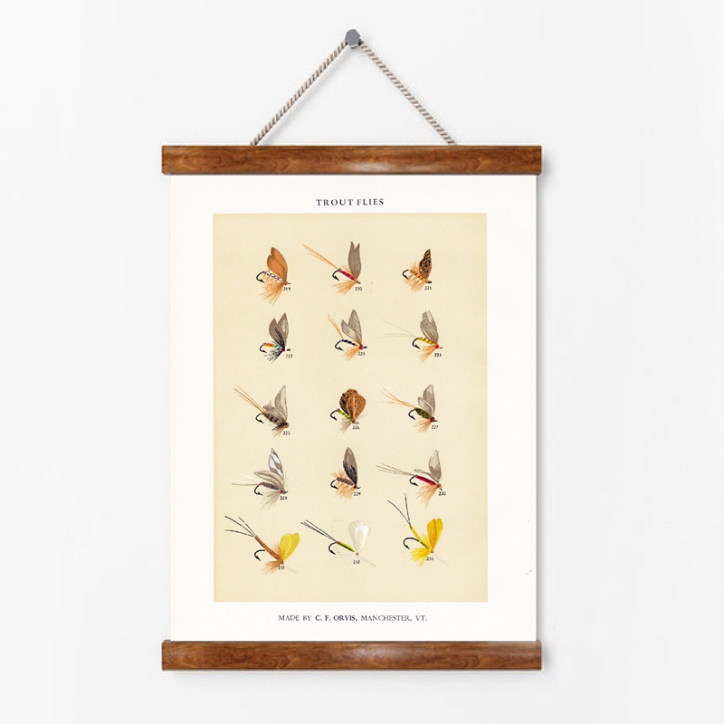 Poster umpan pancing lalat ant - Aquarium Fish Poster ulasan dan harga