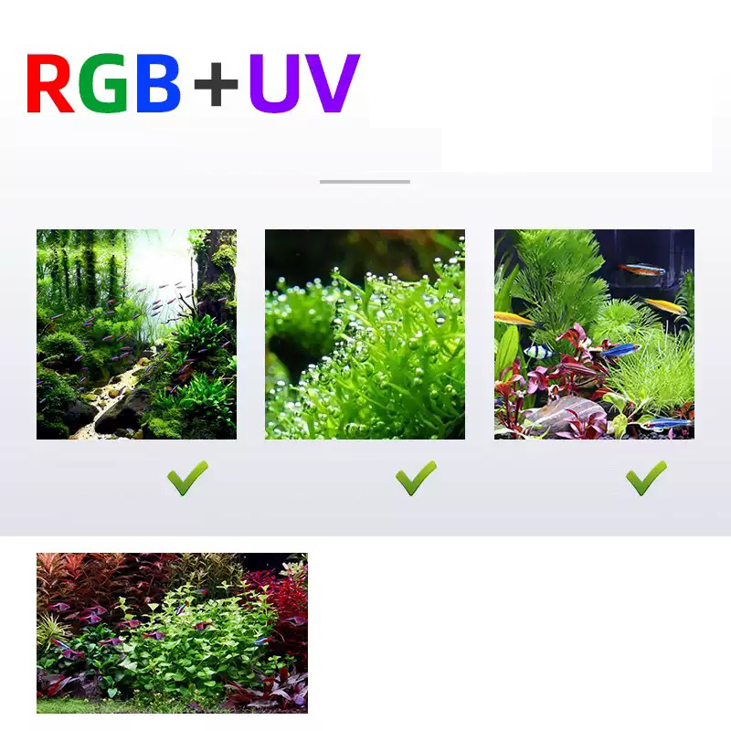 Lampu LED 60cm 80cm 90cm RGB U - Aquarium Fish Sale ulasan dan harga