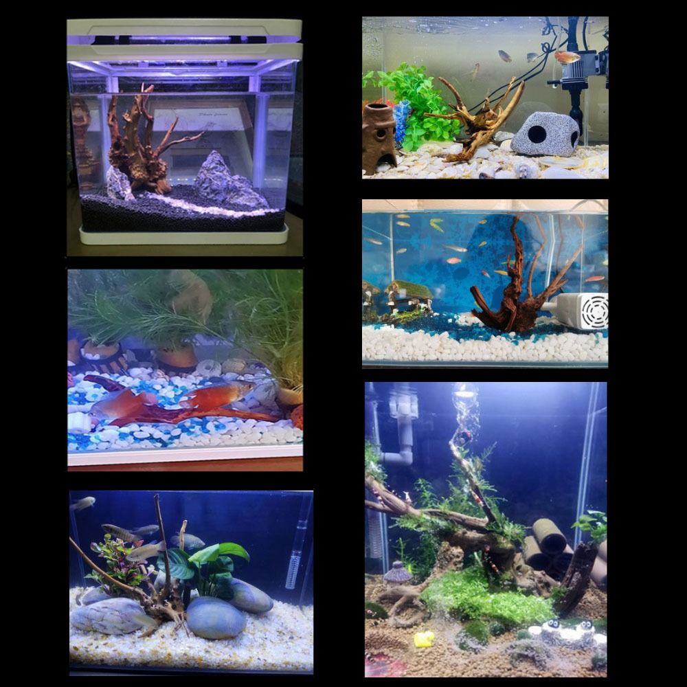 Kayu Apung Akuarium Besar 20-2 - Aquarium Fish Big ulasan dan harga