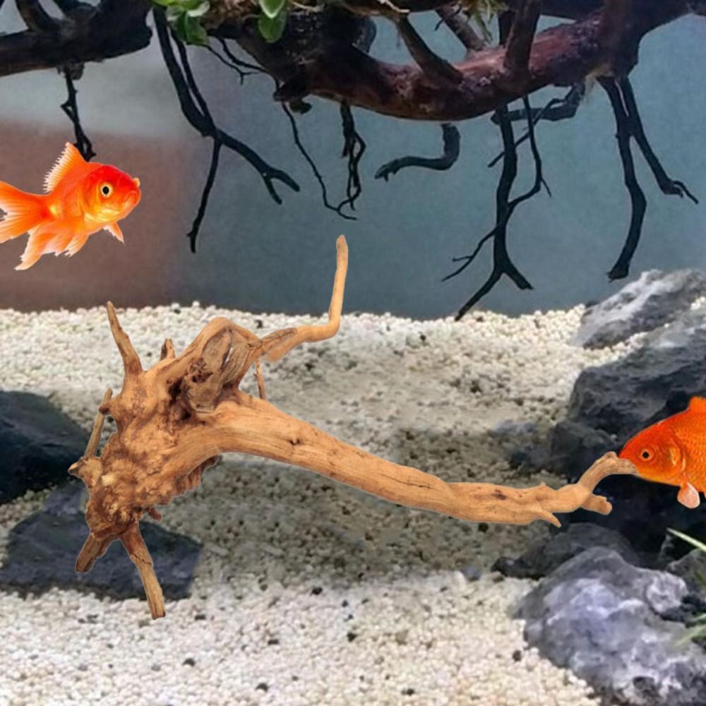 Kayu Apung Akuarium Besar 20-2 - Aquarium Fish Big ulasan dan harga