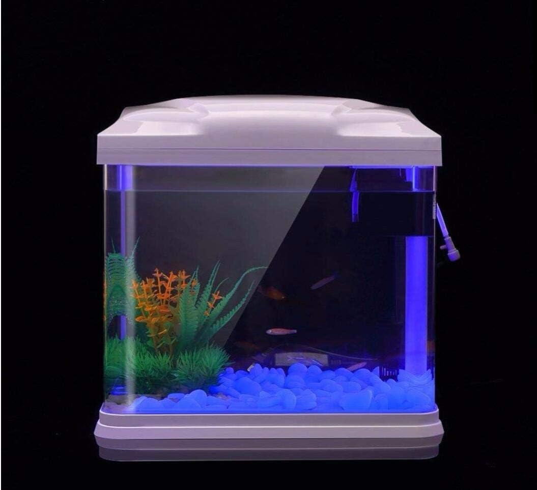 Batu Tangki Ikan Kerikil Biru  - Aquarium Fish To Buy ulasan dan harga
