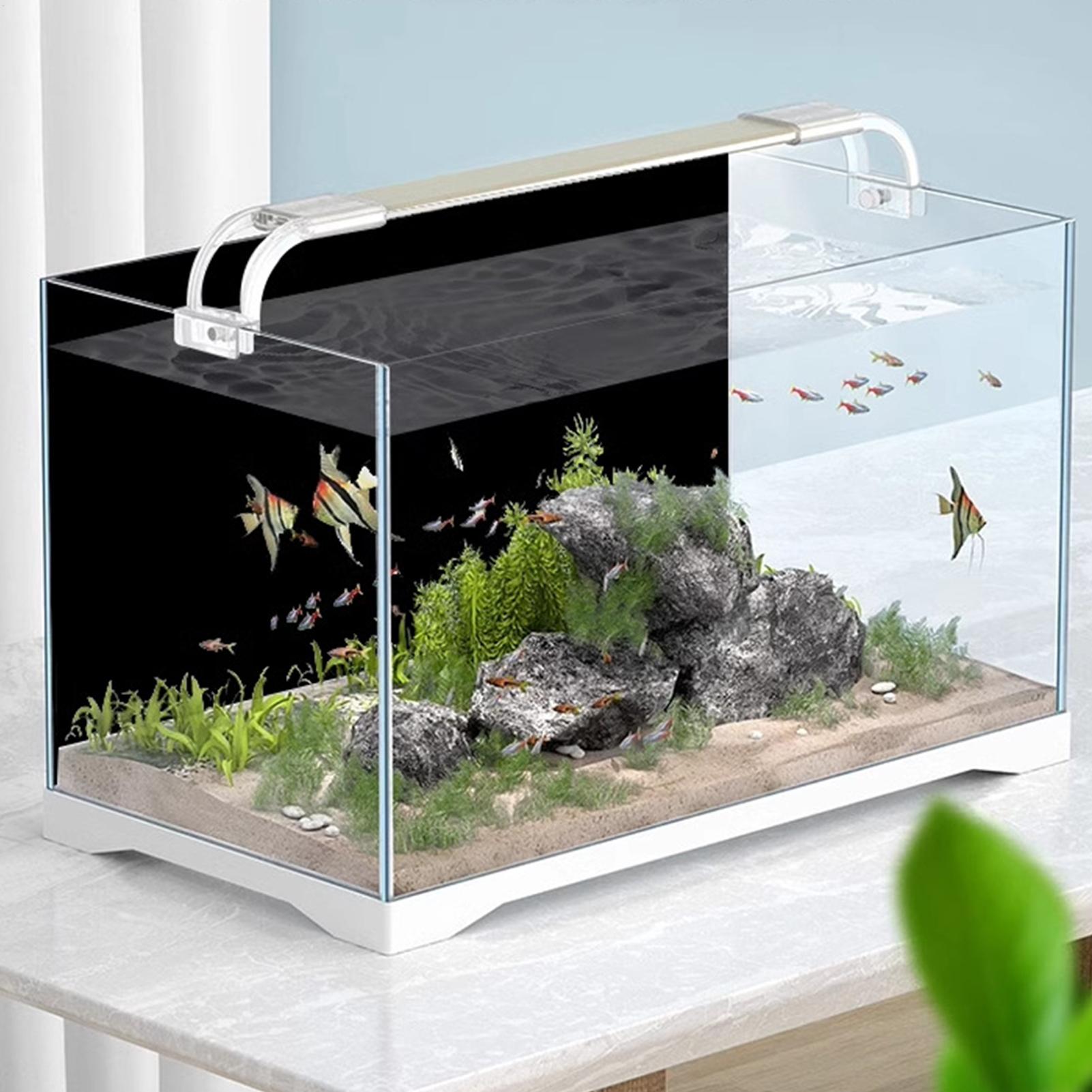 Gambar Latar Belakang Akuarium - Fish In Aquarium Picture ulasan dan harga
