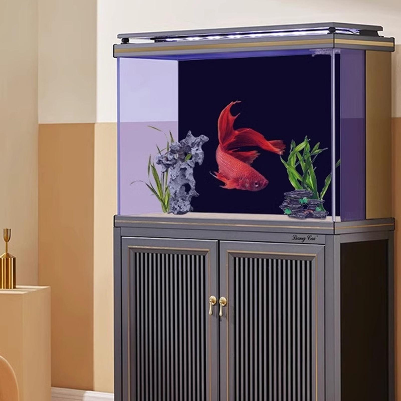 Gambar Latar Belakang Akuarium - Fish In Aquarium Picture ulasan dan harga