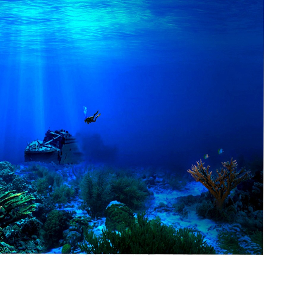 Poster Latar Belakang Akuarium - Aquarium Fish Poster ulasan dan harga