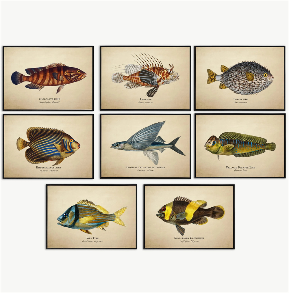 Gambar Vintage Ikan Tropis Ubu - Fish In Aquarium Picture ulasan dan harga