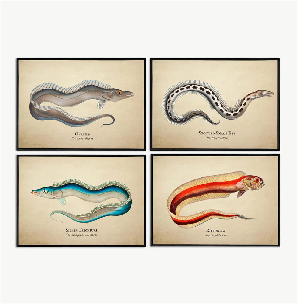 Gambar Vintage Ikan Tropis Ubu - Fish In Aquarium Picture ulasan dan harga