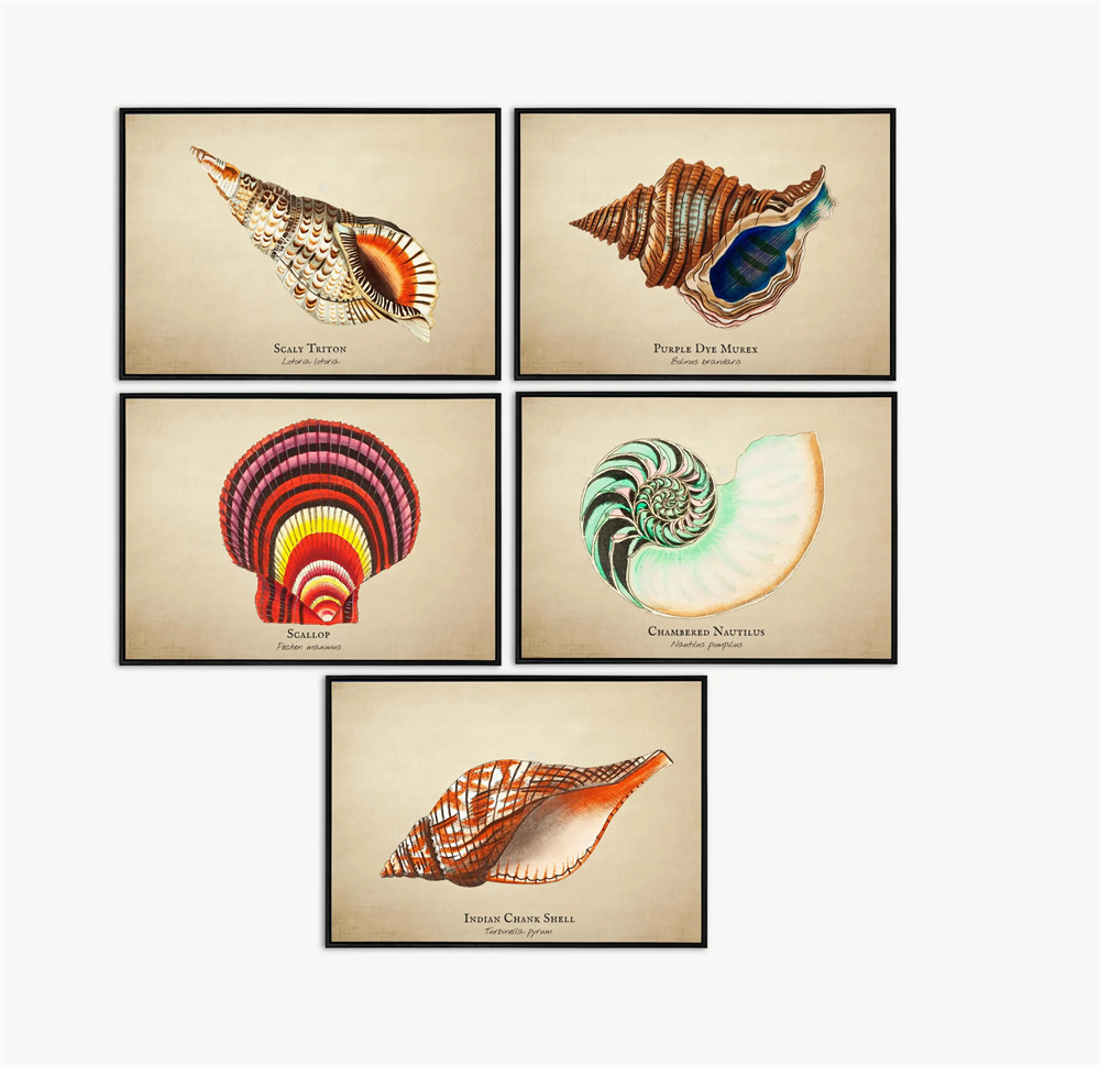 Gambar Vintage Ikan Tropis Ubu - Fish In Aquarium Picture ulasan dan harga