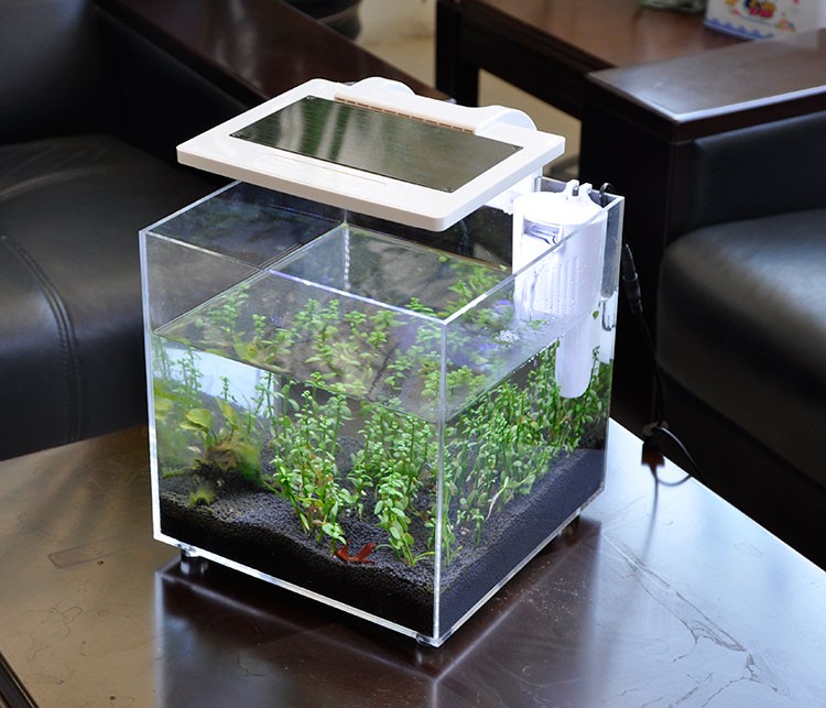 Akuarium Mini Akrilik (25*25*2 - Aquarium Fish Sale ulasan dan harga