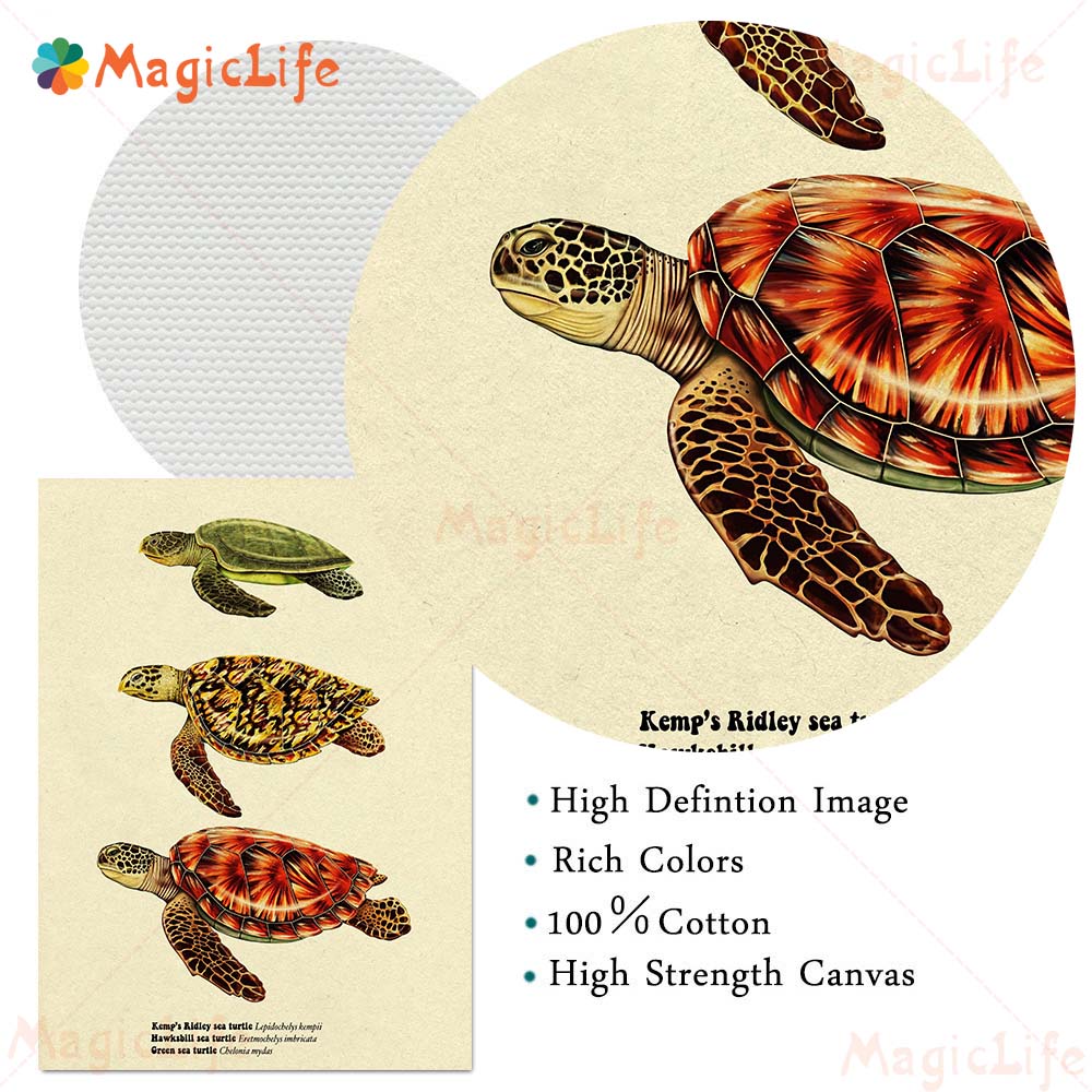 Poster hiu kura-kura ikan laut - Fish In Aquarium Picture ulasan dan harga