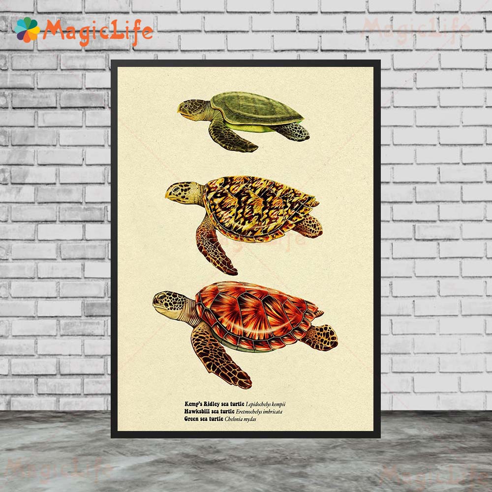 Poster hiu kura-kura ikan laut - Fish In Aquarium Picture ulasan dan harga