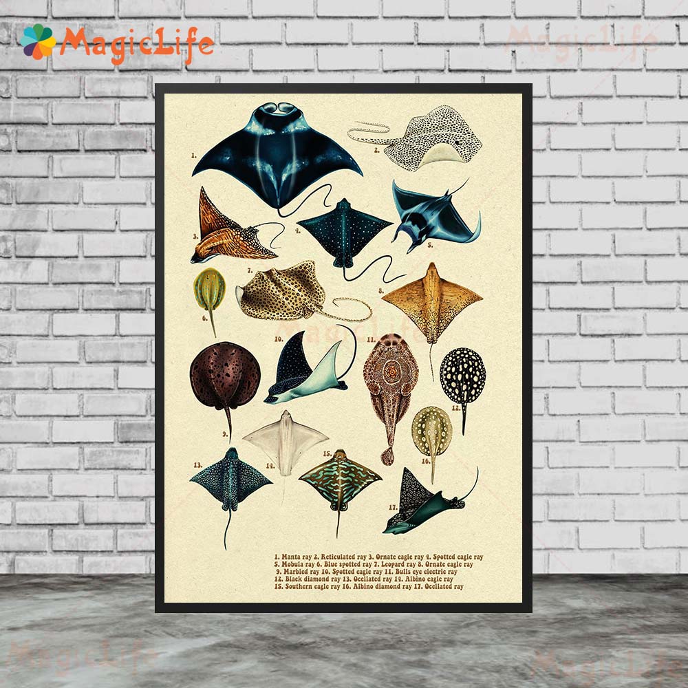 Poster hiu kura-kura ikan laut - Fish In Aquarium Picture ulasan dan harga