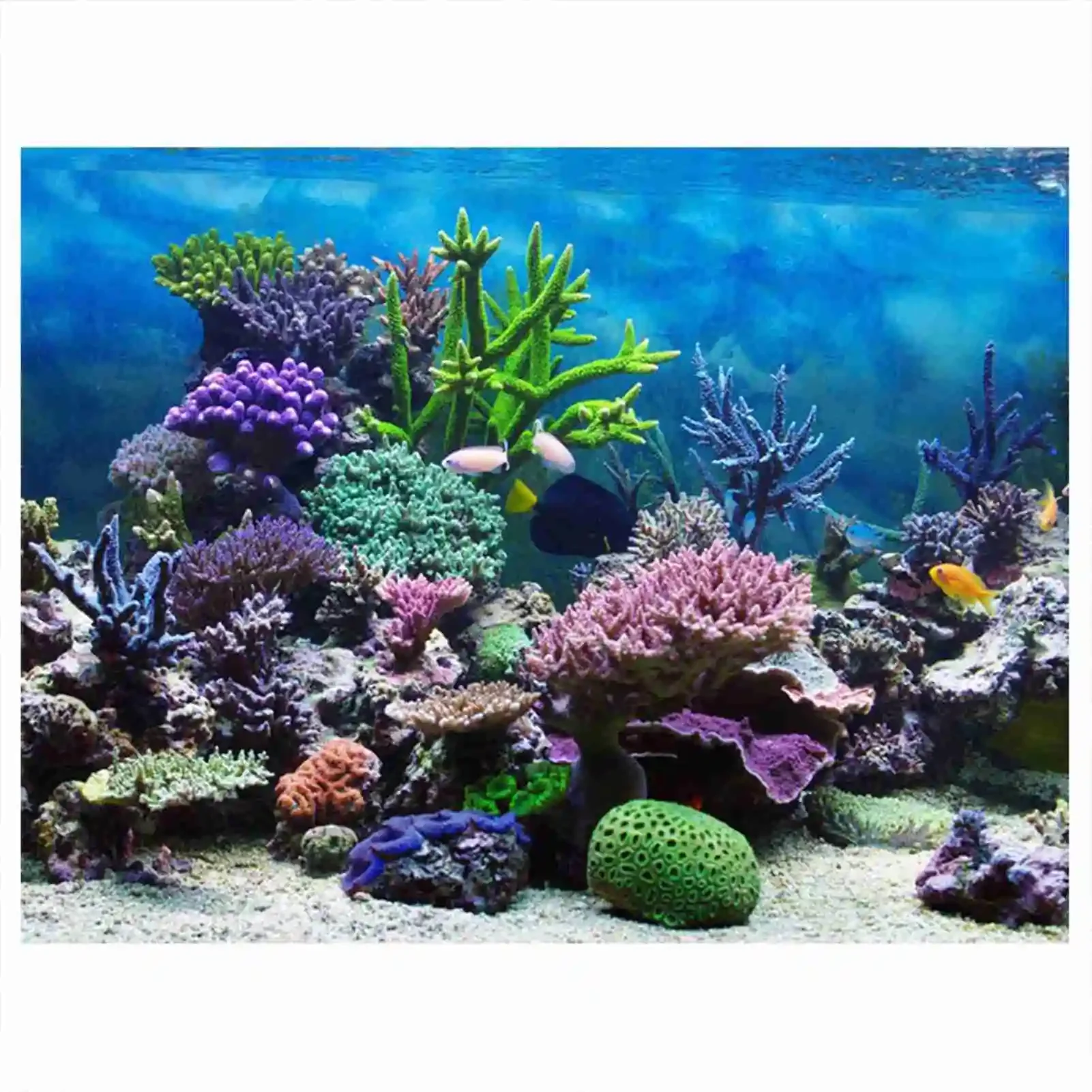 3D akuarium Poster pemandangan - Aquarium Fish Poster ulasan dan harga