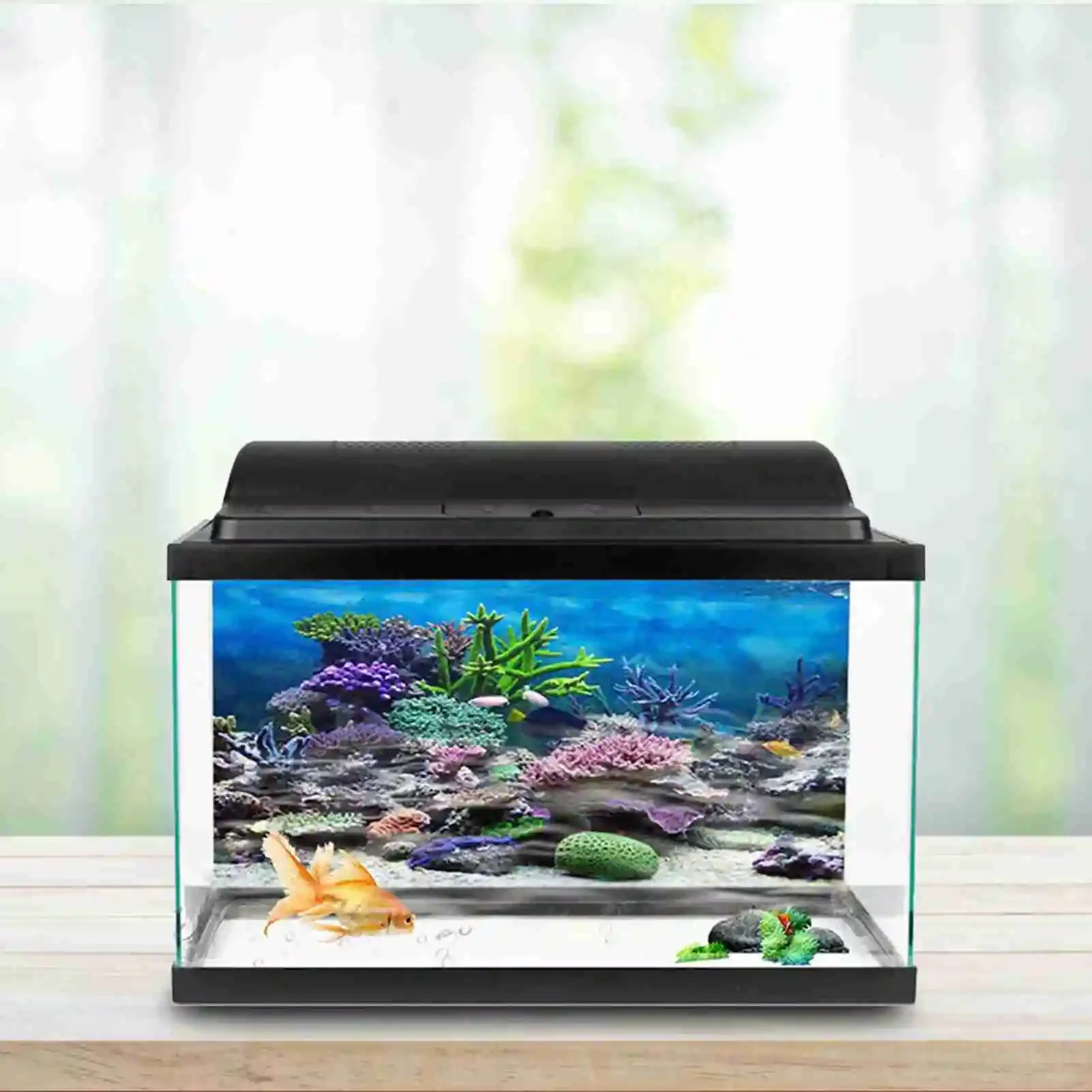 3D akuarium Poster pemandangan - Aquarium Fish Poster ulasan dan harga