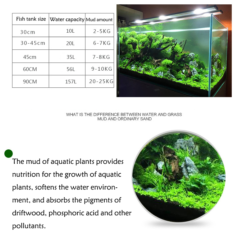 Bibit Tanaman Akuarium Tanah T - Aquarium Fish To Buy ulasan dan harga