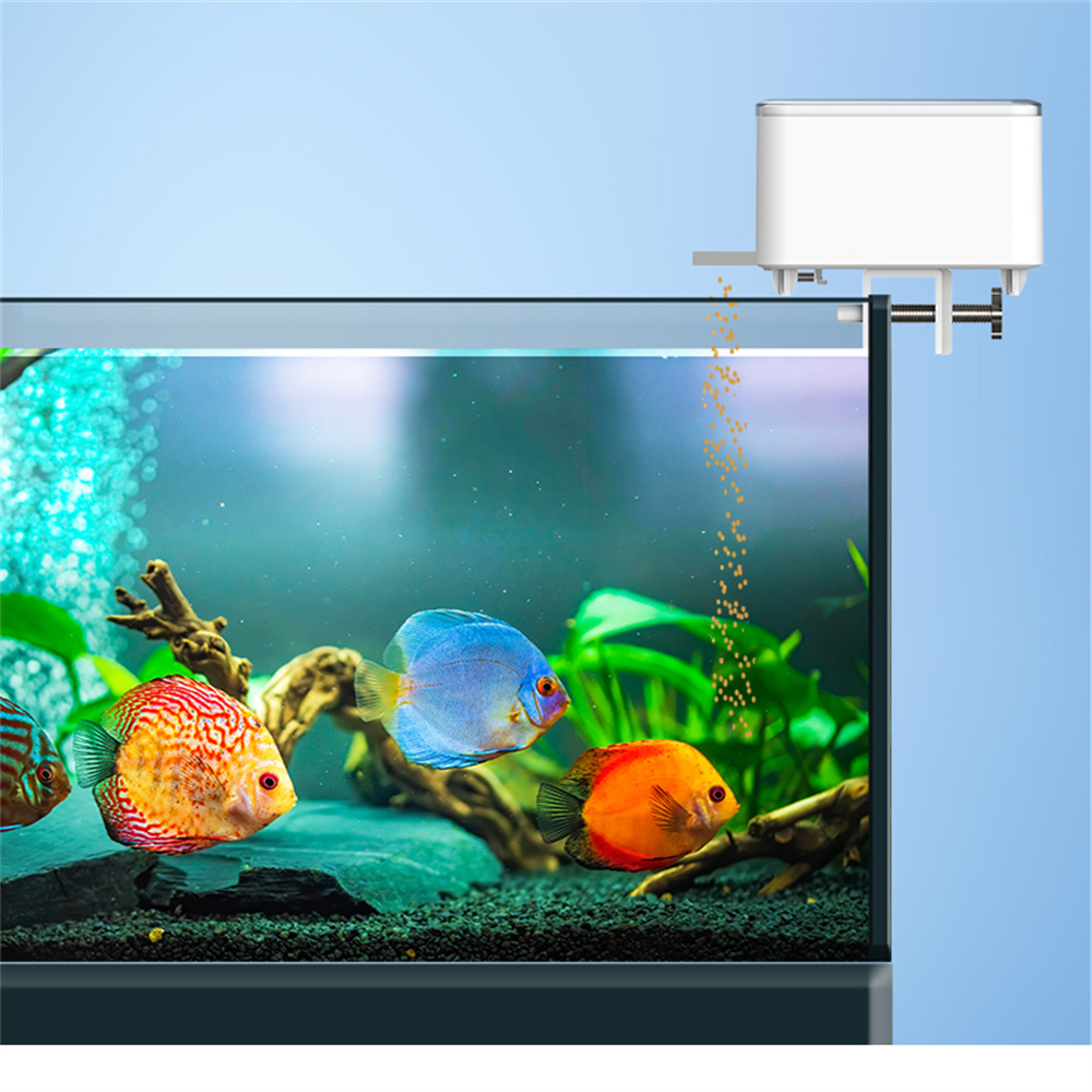 Pengumpan Otomatis Pintar WiFi - Aquarium Fish Big ulasan dan harga