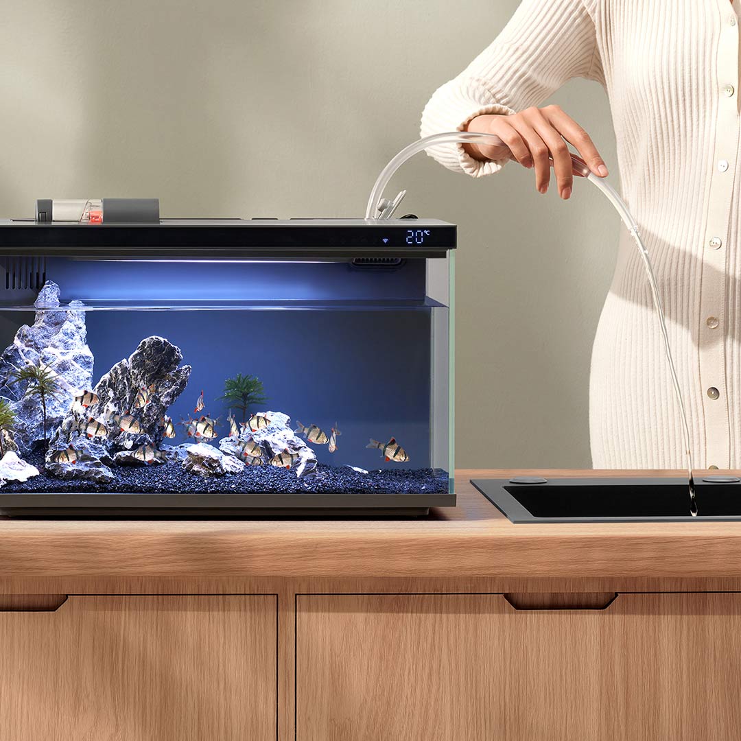 Xiaomi Mijia tangki ikan cerda - Aquarium Xiaomi ulasan dan harga