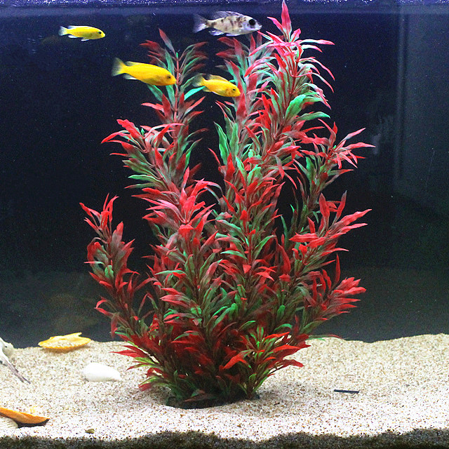 50CM Kolam Ikan Buatan Tanaman - Aquarium Fish To Buy ulasan dan harga