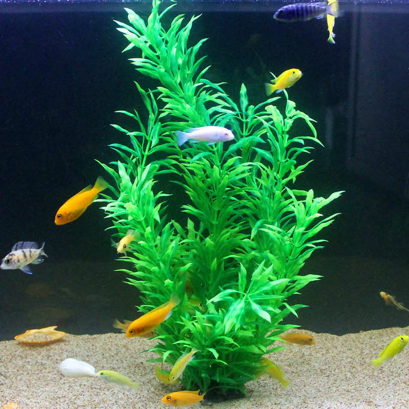 50CM Kolam Ikan Buatan Tanaman - Aquarium Fish To Buy ulasan dan harga