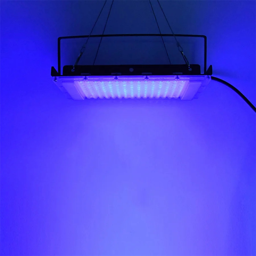 300W UV 395nm lampu hitam Ultr - Aquarium Fish Poster ulasan dan harga