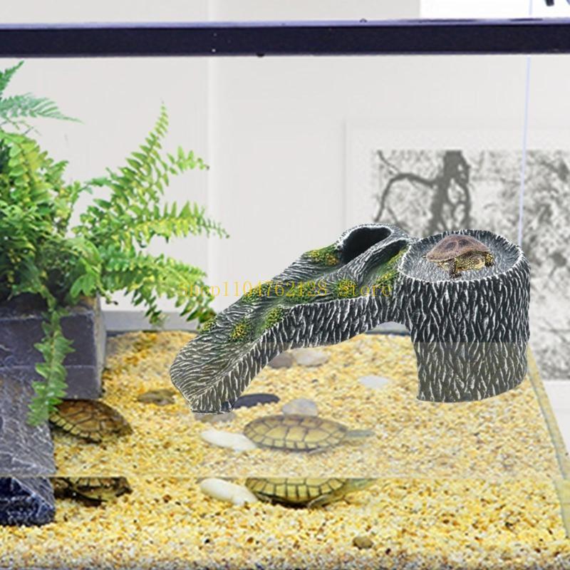 Terarium Platform Berjemur Tan - Aquarium Fish Sale ulasan dan harga