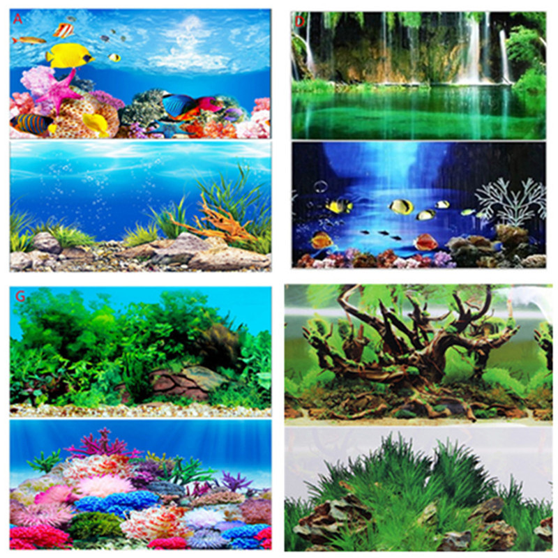 Poster Latar Belakang Akuarium - Fish In Aquarium Picture ulasan dan harga
