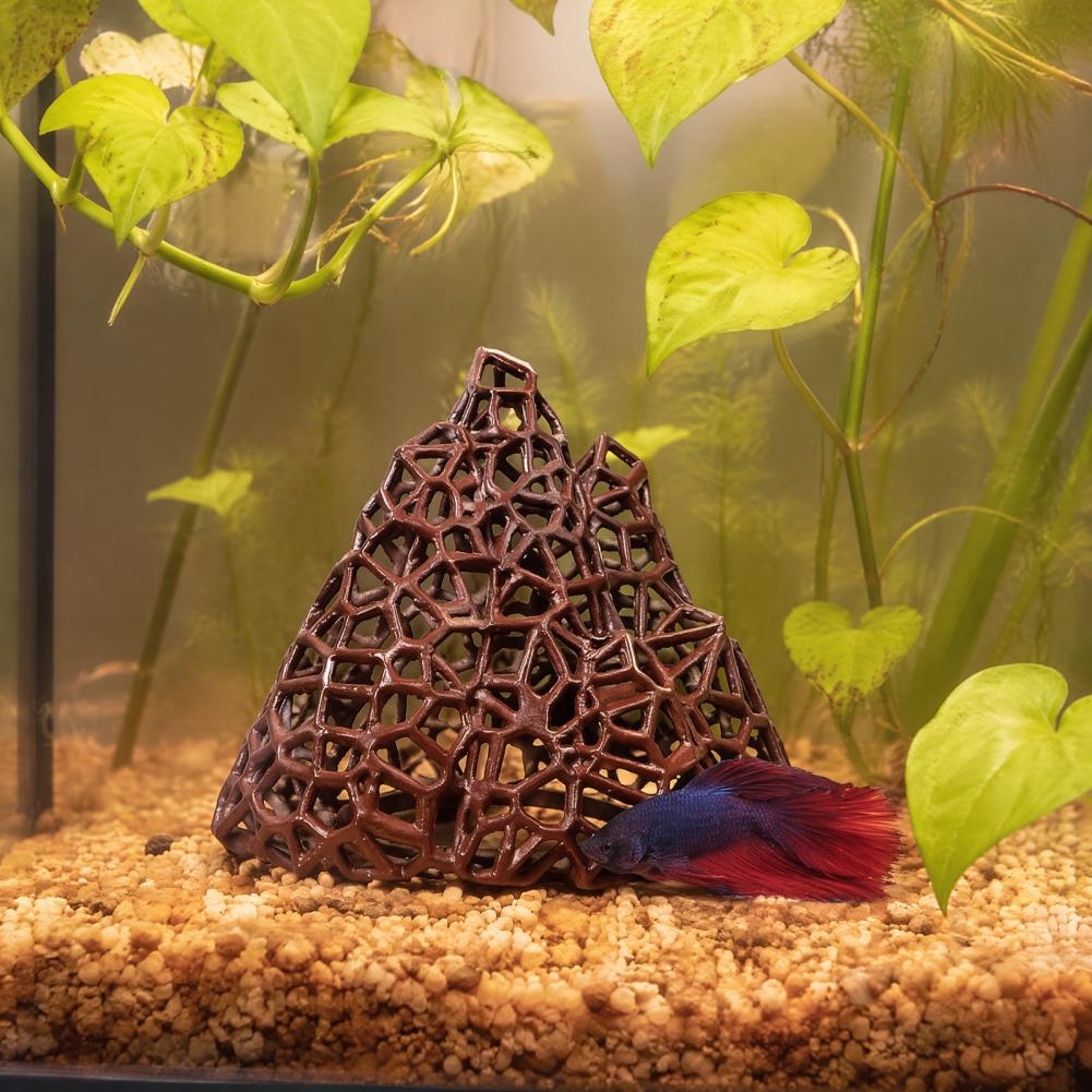 Ornamen Lanskap Akuarium Dekor - Fish In Aquarium Picture ulasan dan harga