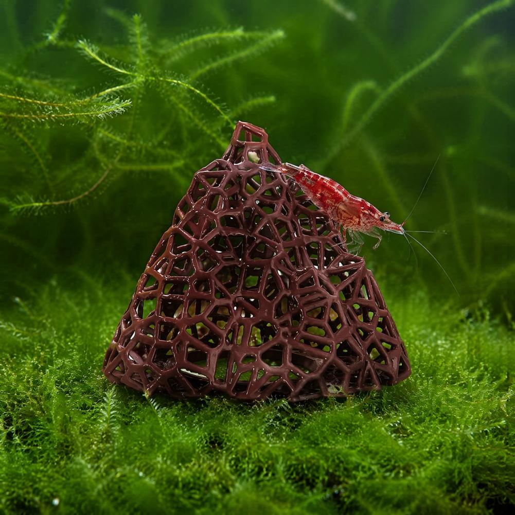Ornamen Lanskap Akuarium Dekor - Fish In Aquarium Picture ulasan dan harga