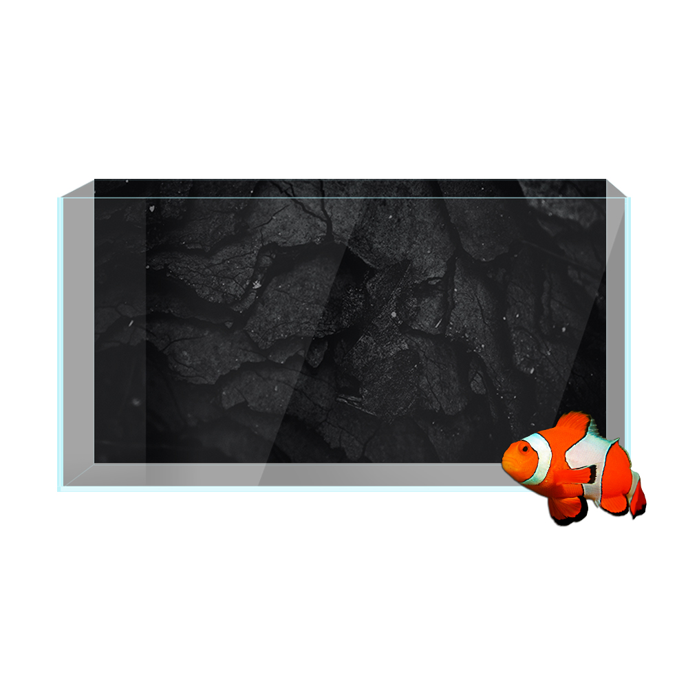 Stiker Latar Belakang Akuarium - Aquarium Fish Wallpaper Hd ulasan dan harga