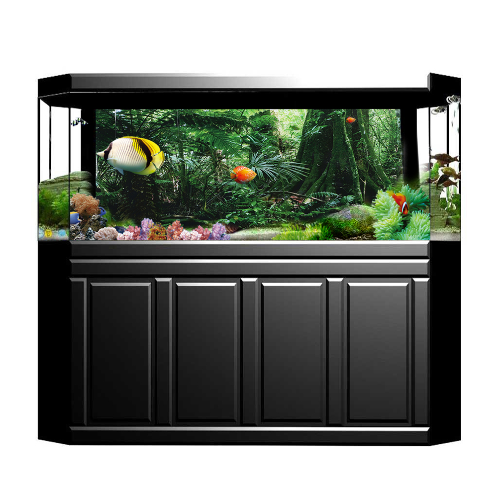 PVC kotak reptil hutan hujan P - Fish In Aquarium Picture ulasan dan harga