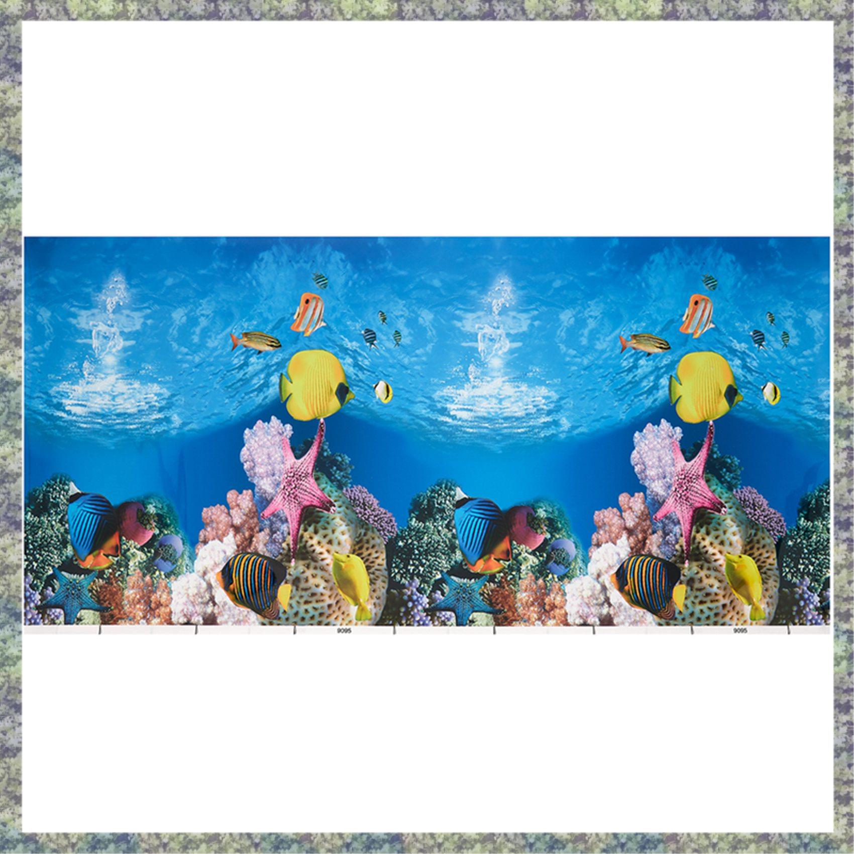 WON Kertas Latar Belakang Akua - Fish In Aquarium Picture ulasan dan harga