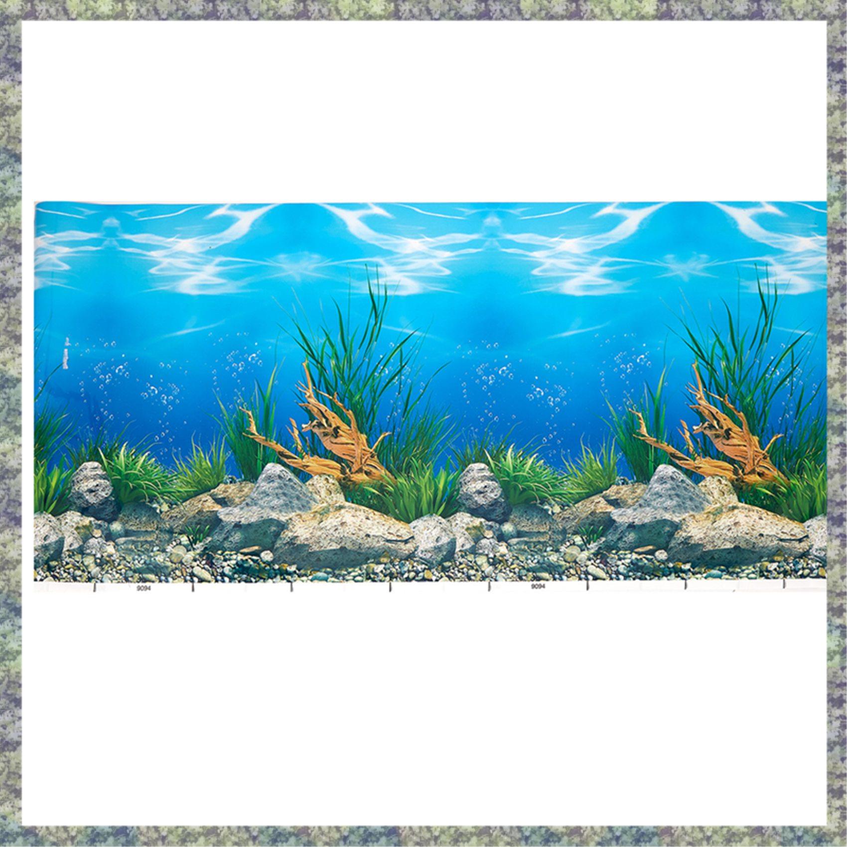 WON Kertas Latar Belakang Akua - Fish In Aquarium Picture ulasan dan harga